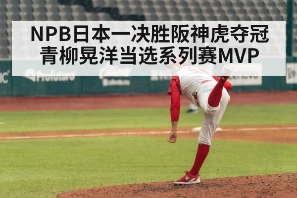 NPB日本一决胜阪神虎夺冠 青柳晃洋当选系列赛MVP
