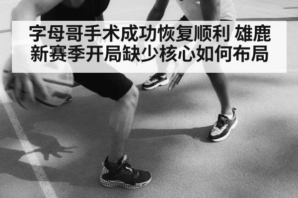 字母哥手术成功恢复顺利 雄鹿新赛季开局缺少核心如何布局